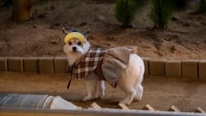 Nonton Film A Good Day to be a Dog Season 1 Episode 5 Terbaru Nonton Film A Good Day to be a Dog Season 1 Episode 5 Terbaru