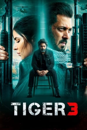 Nonton Film Tiger 3 (2023) Terbaru Nonton Film Tiger 3 (2023) Terbaru