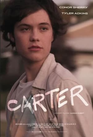 Nonton Film Carter (2022) Terbaru Nonton Film Carter (2022) Terbaru