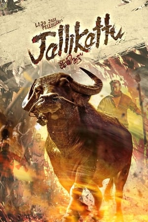 Nonton Film Jallikattu (2019) Terbaru Nonton Film Jallikattu (2019) Terbaru
