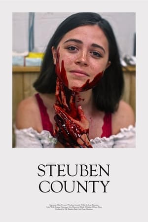 Nonton Film Steuben County (2020) Terbaru
