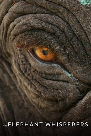 Nonton Film The Elephant Whisperers (2022) Terbaru