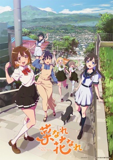 Nonton Film Na Nare Hana Nare – Episode 1 Terbaru Nonton Film Na Nare Hana Nare – Episode 1 Terbaru