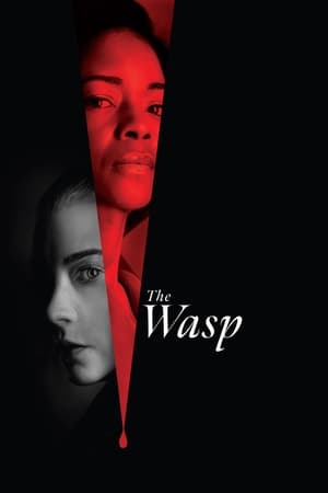Nonton Film The Wasp (2024) Terbaru