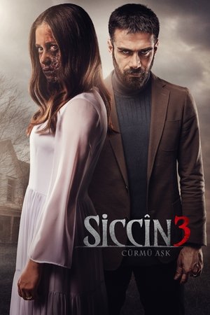 Nonton Film Sijjin 3- The Forbidden Love (2016) Terbaru